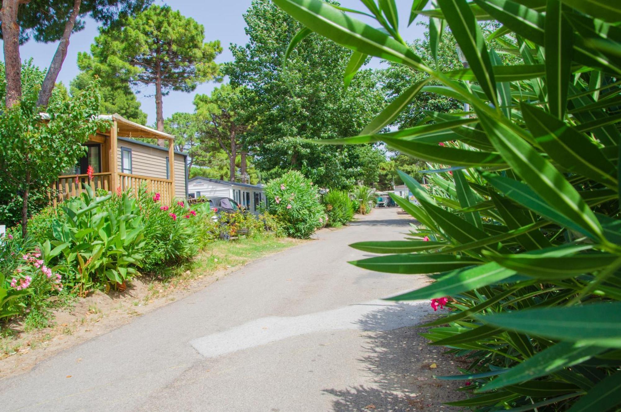 Camping Les Jardins D Agathe Le Grau-d'Agde Exterior photo